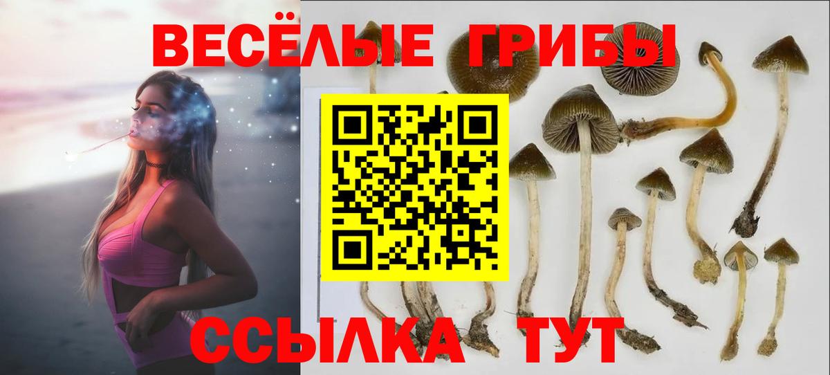 цены наркотик  Вход с VPN  Ирбит  Галлюциногенные грибы Magic Shrooms  Псилоцибиновые грибы Magic Shrooms 